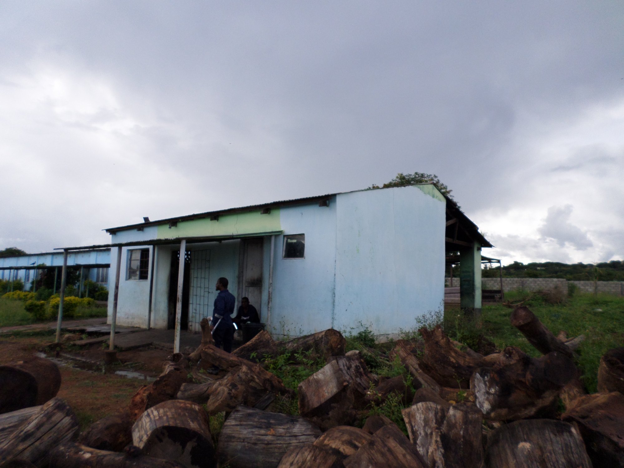 Kitchen building with firewood stacked in foreground